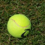 tennis-ball-1475072_1280