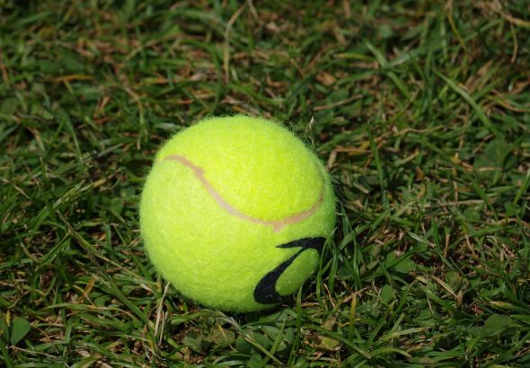 tennis-ball-1475072_1280
