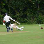 john-oswald-_tuKh-cricket