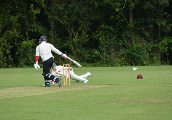 john-oswald-_tuKh-cricket