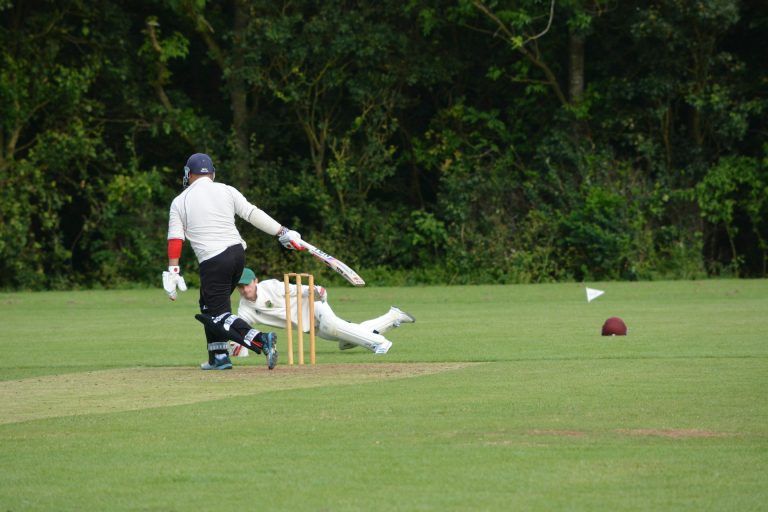 john-oswald-_tuKh-cricket